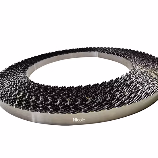 Lama per sega a nastro per sega a nastro per sega a spirale per sega a nastro per nuova fabbrica di segheria per segheria con dente indurito